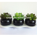 Eye-catching artificial succulent plants for ornament